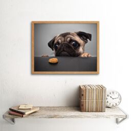"Artery8 Wall Art Print Animal Portrait Protograph Cute Pug Funny Pet Dog Looking at Bisquit Treat Picture Art Framed in Light Oak - Size: W12"" x H16""" - thumbnail 2