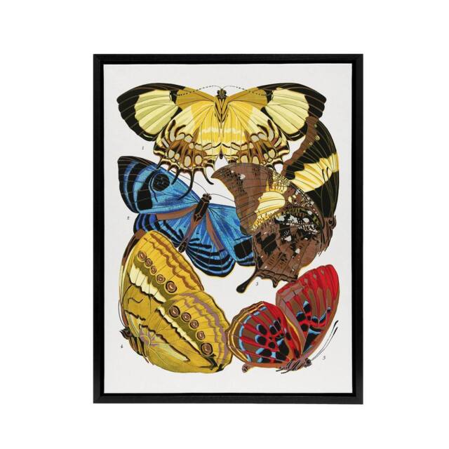 "Artery8 Vintage Butterflies Yellow Red Blue Framed Canvas Wall Art Print Seguy - Size: W12"" x H16""" - image 1