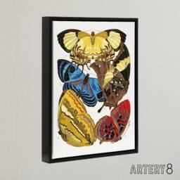 "Artery8 Vintage Butterflies Yellow Red Blue Framed Canvas Wall Art Print Seguy - Size: W12"" x H16""" - thumbnail 2