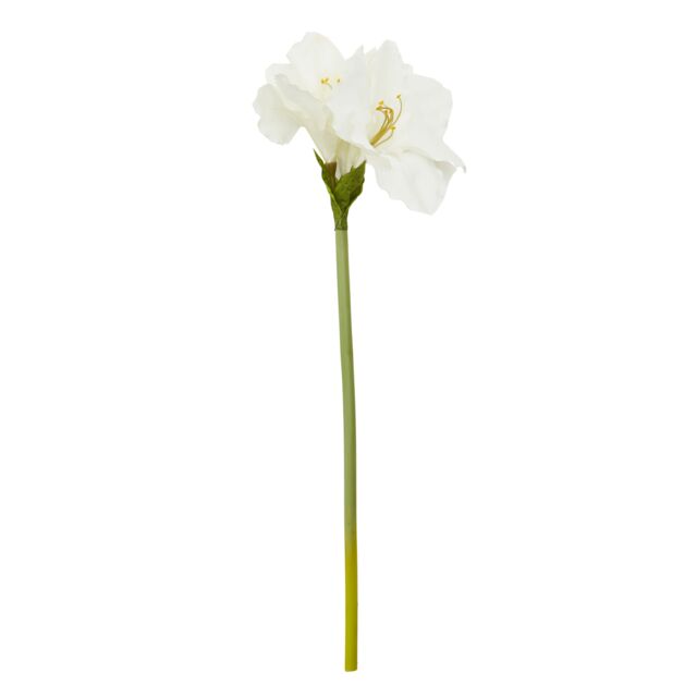 Orsina Fiori Amaryllis Stem - 72cm Ivory, Graceful Faux Flower With Soft Ivory Petals & Realistic Finish, Adds in White - image 1