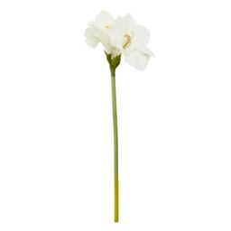 Orsina Fiori Amaryllis Stem - 72cm Ivory, Graceful Faux Flower With Soft Ivory Petals & Realistic Finish, Adds in White - thumbnail 1