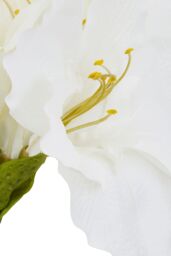 Orsina Fiori Amaryllis Stem - 72cm Ivory, Graceful Faux Flower With Soft Ivory Petals & Realistic Finish, Adds in White - thumbnail 3