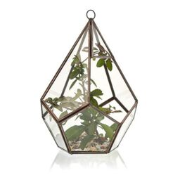 KDMD Glass Terrarium - Large Pentagon in Brown - thumbnail 2
