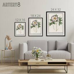 "Artery8 Blooming Peony Flower Anselmus de Boodt Framed Canvas Wall Art Print in White - Size: W12"" x H16""" - thumbnail 4