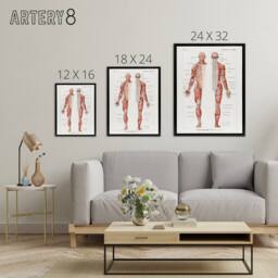 "Artery8 Human Nervous System Boissiere Vintage Black Framed Canvas Wall Art in White - Size: W12"" x H16""" - thumbnail 4