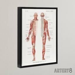 "Artery8 Human Nervous System Boissiere Vintage Black Framed Canvas Wall Art in White - Size: W12"" x H16""" - thumbnail 2