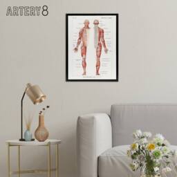 "Artery8 Human Nervous System Boissiere Vintage Black Framed Canvas Wall Art in White - Size: W12"" x H16""" - thumbnail 3