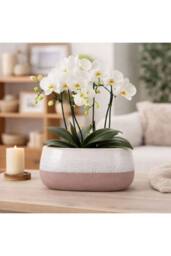 KDMD Hortus Pink & White Bordeaux Stoneware Pot 13cm H x 26cm Dia - thumbnail 5