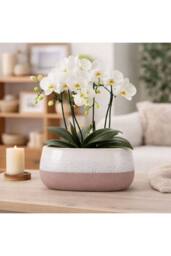 KDMD Hortus Pink & White Bordeaux Stoneware Pot 13cm H x 26cm Dia - thumbnail 4