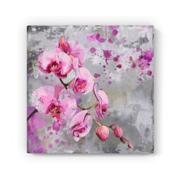 Warren Reed - Designer Orchids Splashart Canvas - Size: w10 inch x h10 inch - thumbnail 2