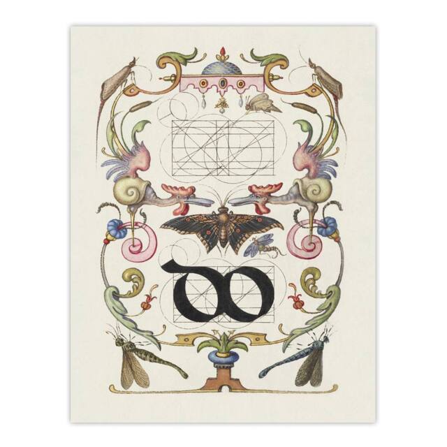 "Artery8 Ligature Guide with Butterfly Calligraphy Wall Art Poster Print in White - Size: W18"" x H24""" - image 1