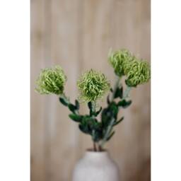 Sostter Green Pincushion Protea Faux Flower Stem - thumbnail 5