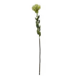 Sostter Green Pincushion Protea Faux Flower Stem - thumbnail 2