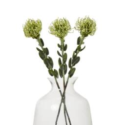 Sostter Green Pincushion Protea Faux Flower Stem - thumbnail 1