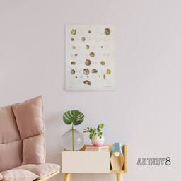 "Artery8 James De Kay Seashells Study Illustration Canvas Wall Art Print in White - Size: W12"" x H16""" - thumbnail 3