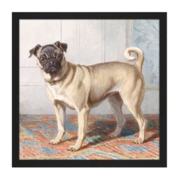 "Artery8 Wall Art Print Cunaeus Portrait Edwin Vom Rath's Pug Dog Painting Square Framed Picture 16X16 Inch in Black - Size: W16"" x H16""" - thumbnail 1