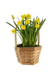 KDMD Hexagon Baskets Natural Brown Plastic - thumbnail 3