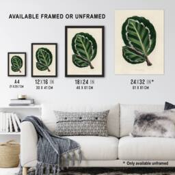 Artery8 Vintage Botanical Maranta Calathea Leaves Fawcett Framed Wall Art in Beige - Size: A4 - thumbnail 3