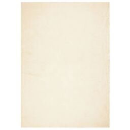 Berkfield Home Rug HUARTE Short Pile Soft & Washable Cream 120x170 cm - Size: Medium - thumbnail 2