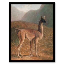 Artery8 Guanaco Llama in Mountain Landscape Agasse Framed Wall Art Print - Size: A3 - thumbnail 1
