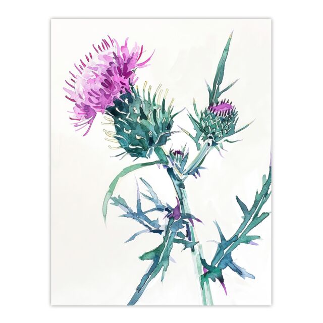 "Artery8 Scottish Thistle Flower Bloom Floral Watercolour Wall Art Print in Purple - Size: W24"" x H32""" - image 1