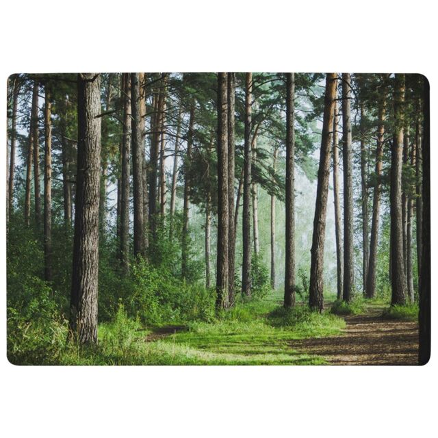Benjamin Tate Design Beautiful Summer Forest With Different Trees Designer Rug in Natural - Size: Large - image 1