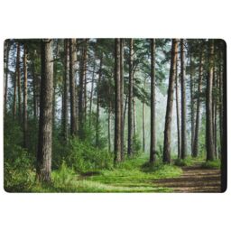 Benjamin Tate Design Beautiful Summer Forest With Different Trees Designer Rug in Natural - Size: Large - thumbnail 1