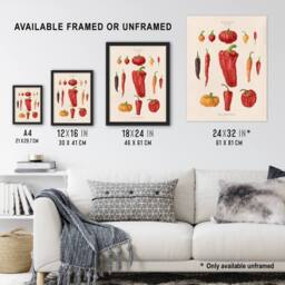 "Artery8 Capsicums & Chili Peppers Ernst Benary Wall Art Poster Print in White - Size: W18"" x H24""" - thumbnail 3