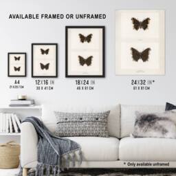 "Artery8 Mourning Cloak Butterfly Sherman Denton Framed Wall Art Print in White - Size: W12"" x H16""" - thumbnail 3