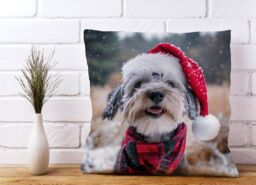 Warren Reed - Designer Snowy Christmas Dandie Dismount Terrier Cushion in Grey - Size: 45 cm x 45 cm - thumbnail 2