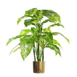Leaf Large Artificial Plant Tree Gold Planter 100cm Natural Aglaonema Spotted Botanik in Green - thumbnail 1