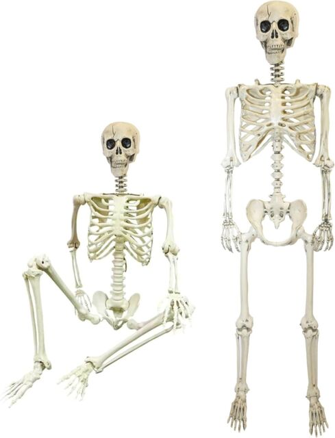 Shatchi Halloween Decoration Life Size Poseable Skeleton 165cm - Realistic Human Skeleton Prop with Movable Joints in White - image 1