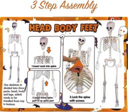 Shatchi Halloween Decoration Life Size Poseable Skeleton 165cm - Realistic Human Skeleton Prop with Movable Joints in White - thumbnail 7