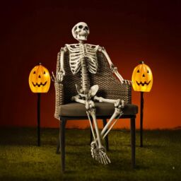 Shatchi Halloween Decoration Life Size Poseable Skeleton 165cm - Realistic Human Skeleton Prop with Movable Joints in White - thumbnail 3
