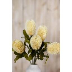 Sostter Cream Faux Banksia Serrata Stem - thumbnail 5