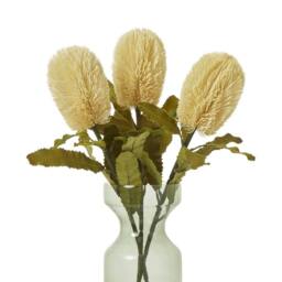 Sostter Cream Faux Banksia Serrata Stem - thumbnail 3