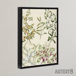 "Artery8 New Zealand Coprosma Acerosa Coastal Plant Featon Framed Canvas Art in Beige - Size: W12"" x H16""" - thumbnail 2