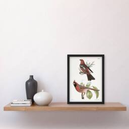 Artery8 James De Kay Pine Bulfinch & Cardinal Grosbeak Framed Wall Art Print in White - Size: A4 - thumbnail 4