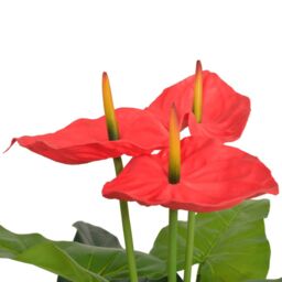 Berkfield Home Artificial Anthurium Plant with Pot 90 cm Red & Yellow - thumbnail 2