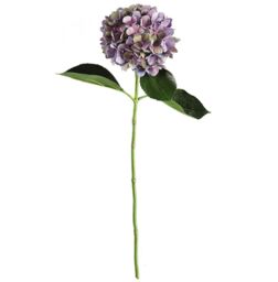 Bloom Artificial Single Charlotte Mauve Hydrangea Stem - Faux Fake Realistic Flower, Indoor Home Floral Decoration - L65cm in Purple