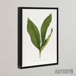 "Artery8 AF Lydon Benjamin Fawcett Lily of the Valley Leaf Framed Canvas Art in White - Size: W12"" x H16""" - thumbnail 2