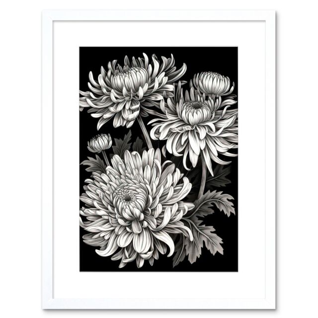 "Artery8 Wall Art Print Detailed Black & White Chrysanthemum Flowers Artwork Framed 9X7 Inch - Size: W7"" x H9""" - image 1
