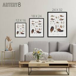 "Artery8 Snail shell Marine Life Ocean Augustus Gould Framed Canvas Wall Art in White - Size: W24"" x H32""" - thumbnail 4