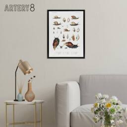 "Artery8 Snail shell Marine Life Ocean Augustus Gould Framed Canvas Wall Art in White - Size: W24"" x H32""" - thumbnail 3