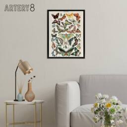 "Artery8 Millot Encyclopedia Butterflies Papillons Framed Canvas Wall Art Print - Size: W12"" x H16""" - thumbnail 3