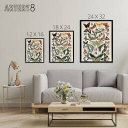 "Artery8 Millot Encyclopedia Butterflies Papillons Framed Canvas Wall Art Print - Size: W12"" x H16""" - thumbnail 4