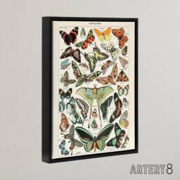 "Artery8 Millot Encyclopedia Butterflies Papillons Framed Canvas Wall Art Print - Size: W12"" x H16""" - thumbnail 2