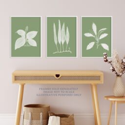 Artery8 Wall Art Print Pack of 3 A4 Sage Green Tree Plant Detailed Foliage Xray Im Monochrome Botanical Living Room s Set - thumbnail 2
