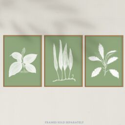 Artery8 Wall Art Print Pack of 3 A4 Sage Green Tree Plant Detailed Foliage Xray Im Monochrome Botanical Living Room s Set - thumbnail 5