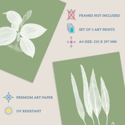 Artery8 Wall Art Print Pack of 3 A4 Sage Green Tree Plant Detailed Foliage Xray Im Monochrome Botanical Living Room s Set - thumbnail 4